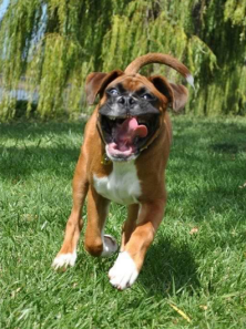 Screen shot 2013-03-27 at 3.19.55 PM