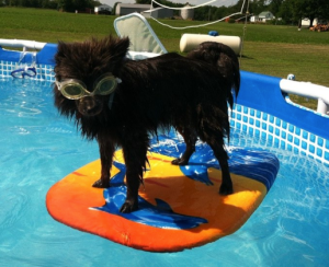 Screen shot 2013-03-27 at 3.20.20 PM