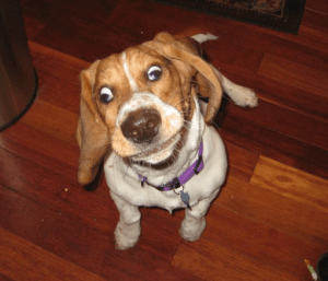 Screen shot 2013-03-27 at 3.20.29 PM