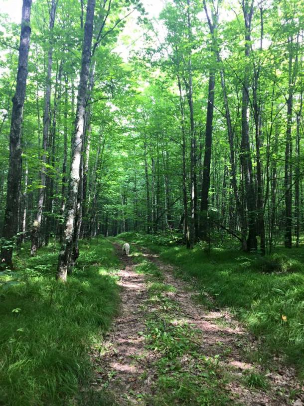 11836821_10153584293486155_9101076579646149200_n