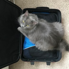 Euro Trip II: Pre-Trip Thoughts &&nbsp;Thinks